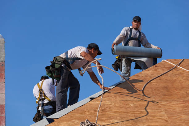 Best New Roof Installation  in Daisetta, TX