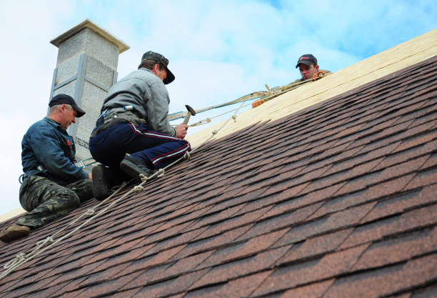 Best Commercial Roofing Services  in Daisetta, TX