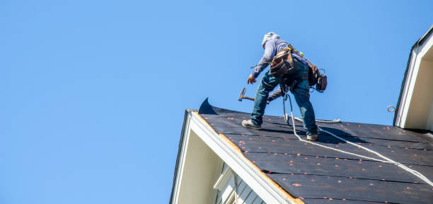Best Residential Roofing Contractor  in Daisetta, TX